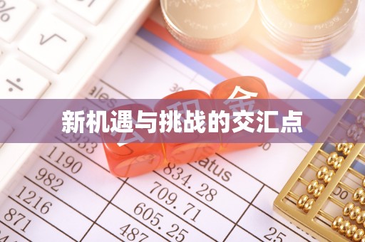 二手新机遇与挑战的交汇点